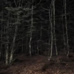 How artificial is Reality